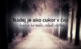 /album/fotogaleria/a0fcc4c3a17-89751854-o2-jpg/